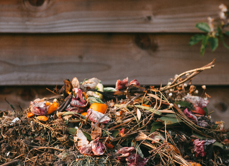 How To Start Composting