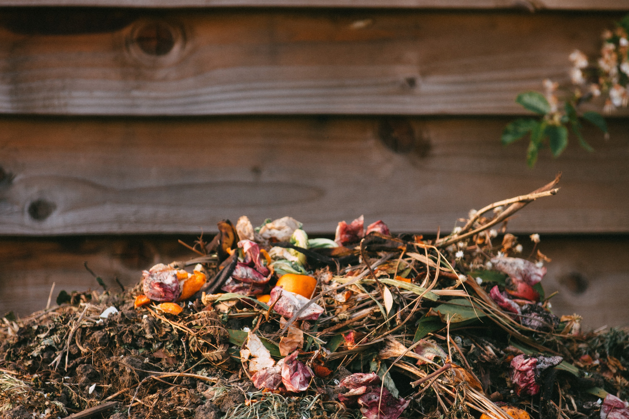 Composting at Home in 5 Steps