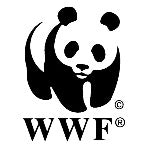 Plastic Waste & Climate Change
