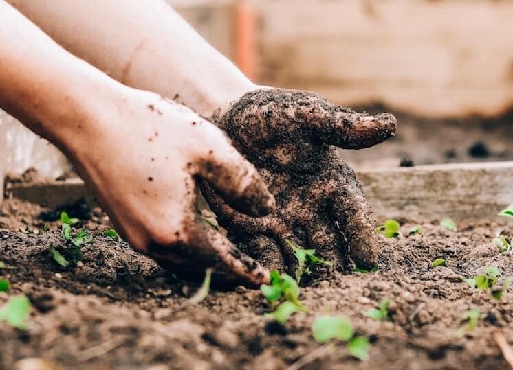 Composting Certifications, Explained