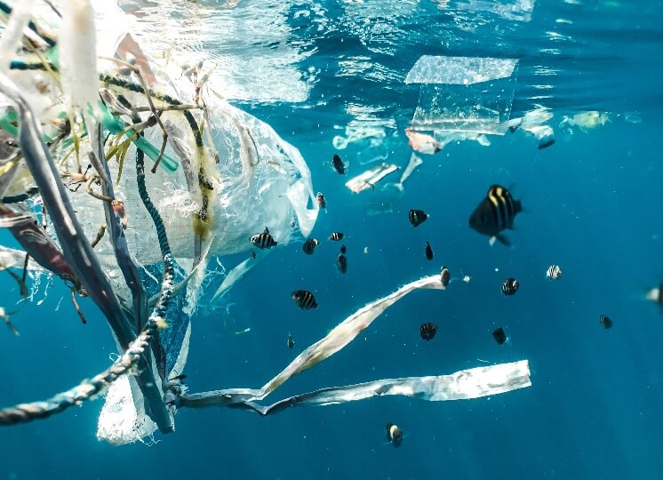 What Are Microplastics