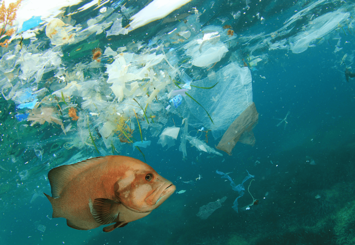 Tiny plastic. Big problem.