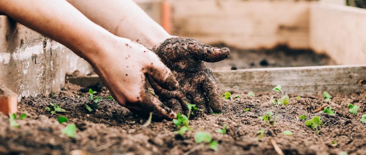 Header image - Composting Certifications, Explained